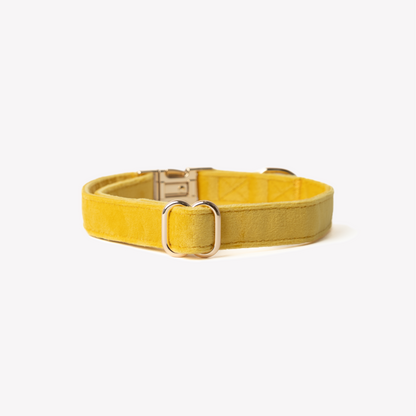 'Yellow' - Velvet Dog Collar