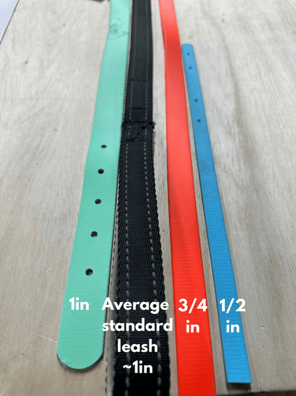1 in Flat Collars *