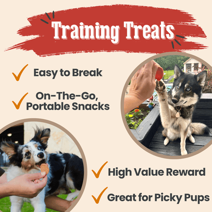 Turkey & Chicken Chip Dog Treat Duo | Single-Ingredient Poultry Treats for Dogs