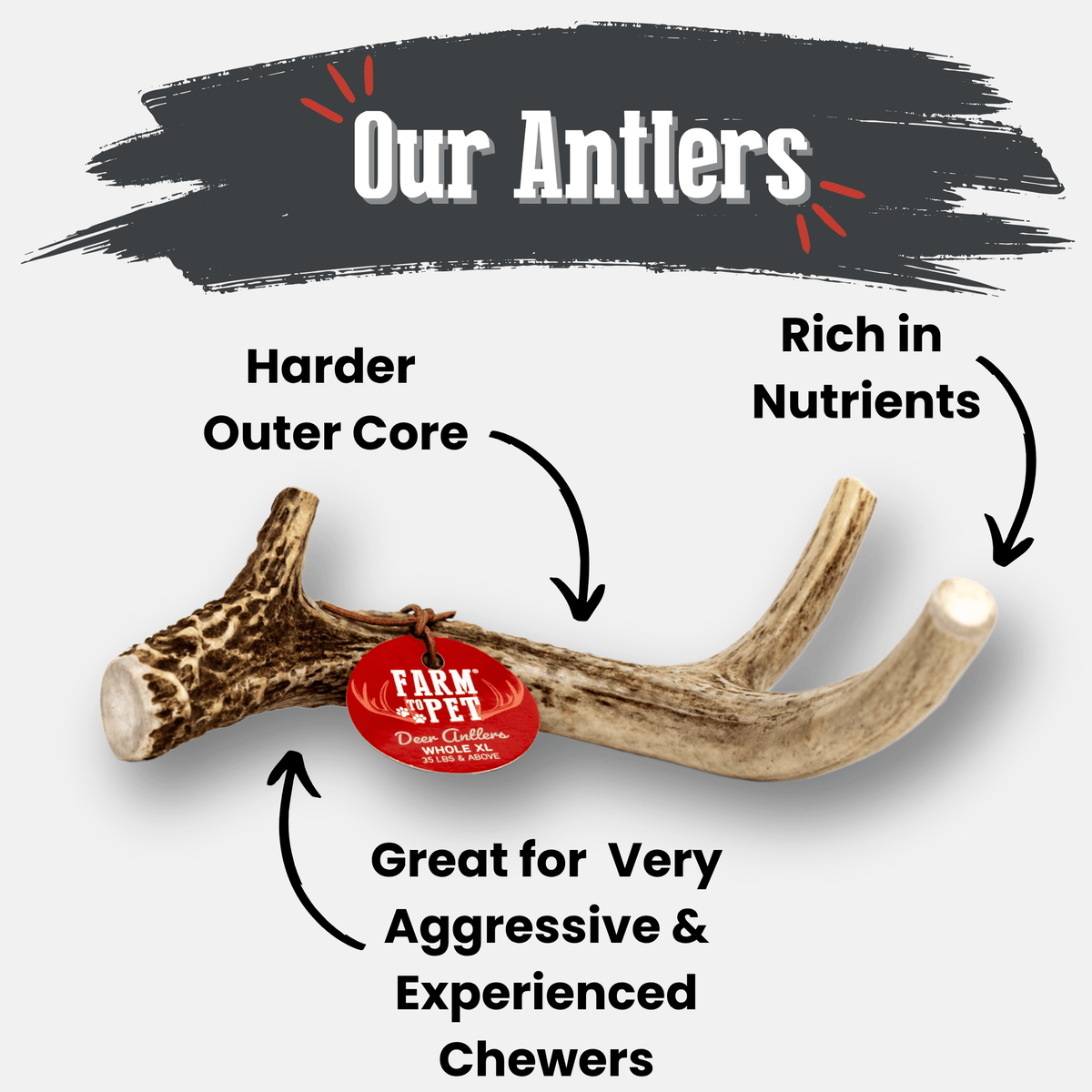 Deer Antler Dog Chews | Organic Chews for Dogs
