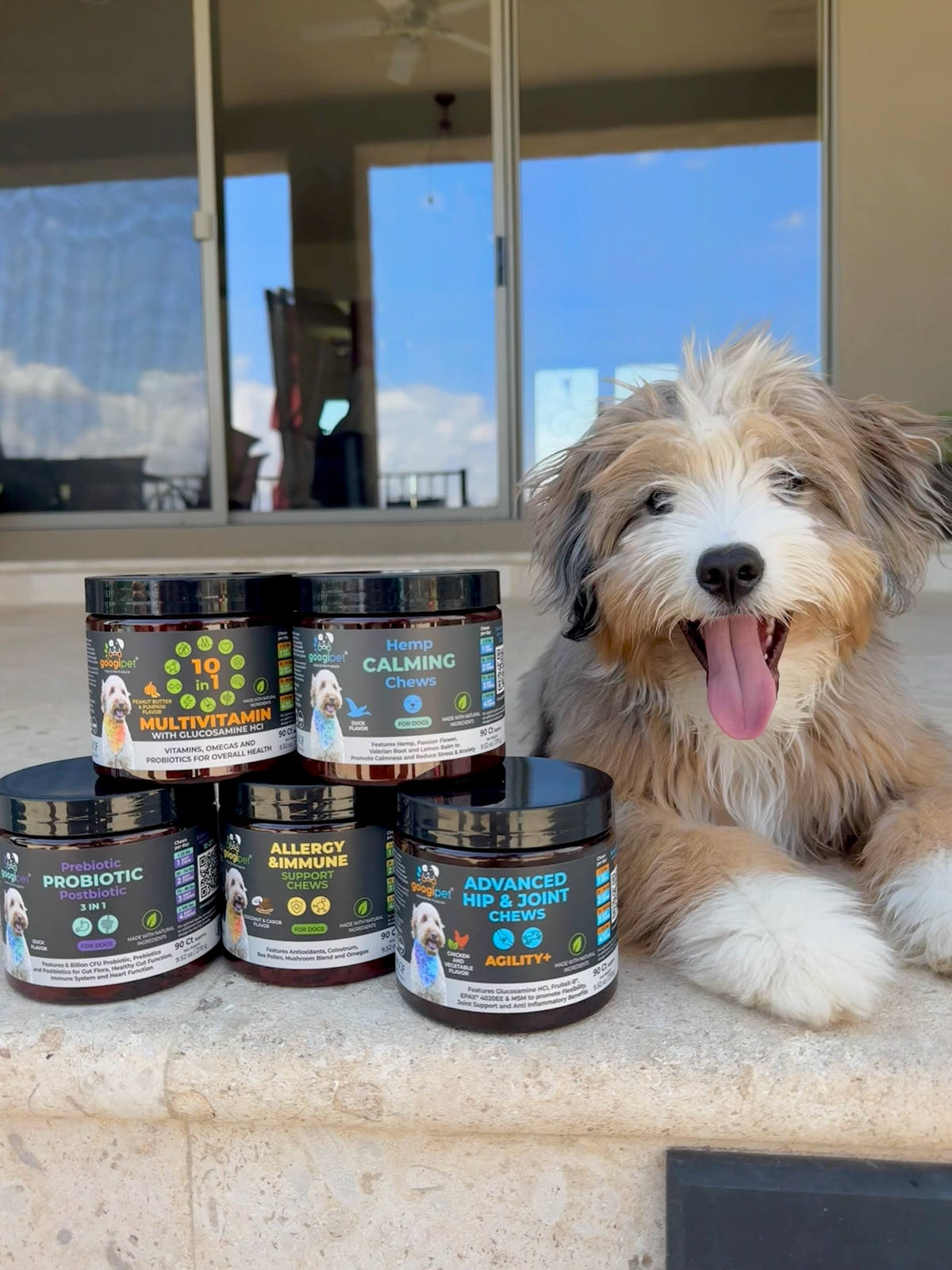 Allergy & Immune Support Chews for Dogs (Peanut Butter Flavor)