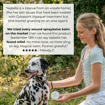 Manuka Honey Salve for Dogs, Horses & Humans