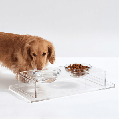 Small Glass Bowl Feeder