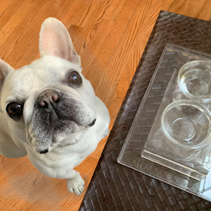 Small Glass Bowl Feeder
