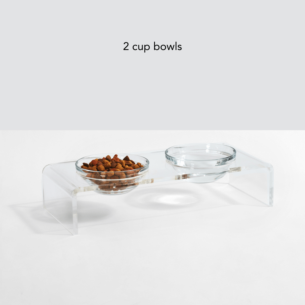 Small Glass Bowl Feeder