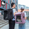 TrueLove Pet Carrier (backpack) TLX2171